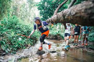 BIB: 
                            <button type="button" onclick="openModal(25373465)" class="btn btn-primary btn-sm float-right btn-popup" data-toggle="modal" data-target=".modal-high-quality">
                        <i class="fas fa-shopping-cart"></i> Add to Cart
                    </button>
                                            <button type="button" onclick="isThisMe(25373465, true)" class="btn btn-success btn-sm float-right btn-popup btn-isme hidden" data-toggle="tooltip" data-placement="bottom" title="นี่คือรูปของคุณใช่ไหม คลิกที่นี่เพื่อเอาเข้าอัลบั้ม">
                        <i class="fas fa-plus"></i> Add to album
                    </button>
                    <button type="button" onclick="isThisMe(25373465, false)" class="btn btn-warning btn-sm float-right btn-popup btn-isnotme hidden">
                        <i class="fas fa-ban"></i> Remove from album
                    </button>